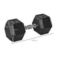 HEX Dumbbell 20kg Pair