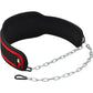 RDX T7 Weight Training Dipping Belt With Chain