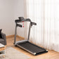 HOMCOM Folding Treadmill 46cm Mat USB Port LED Display 2HP Motor